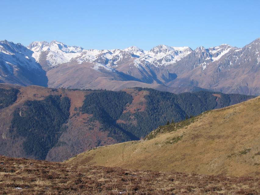 IMG_3578