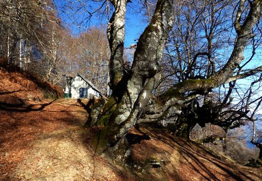 006 Le refuge forestier 1360