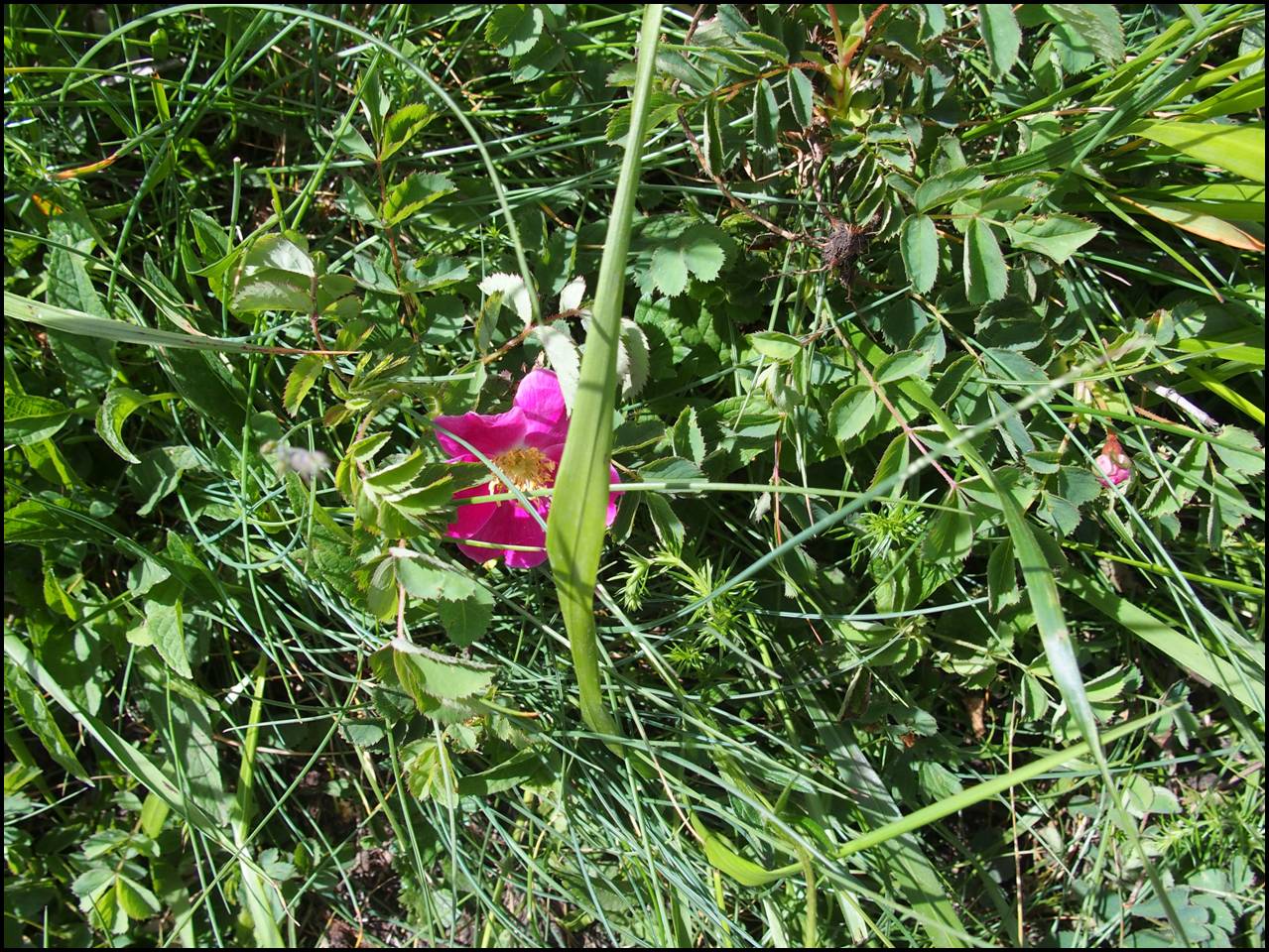 P6240387