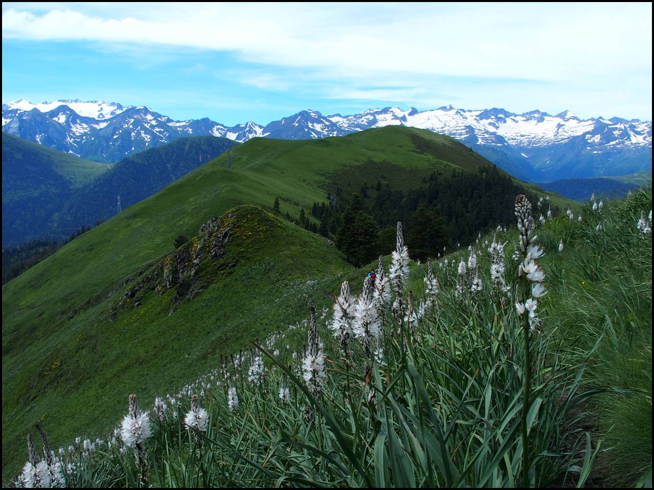 P6240379