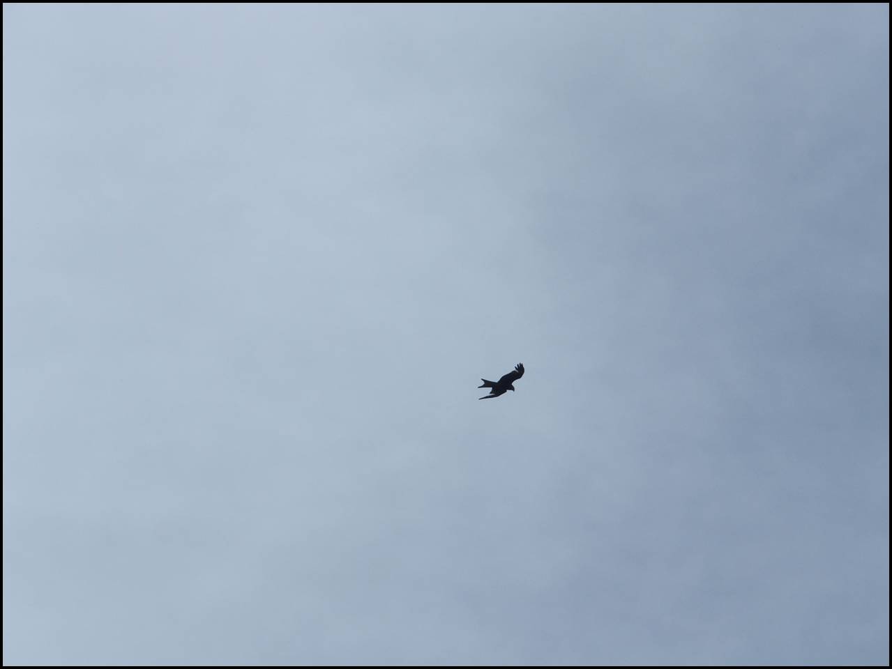 P6240375