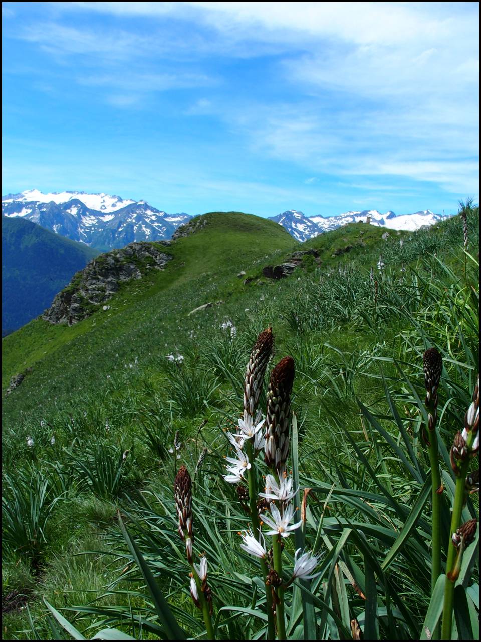 P6240372