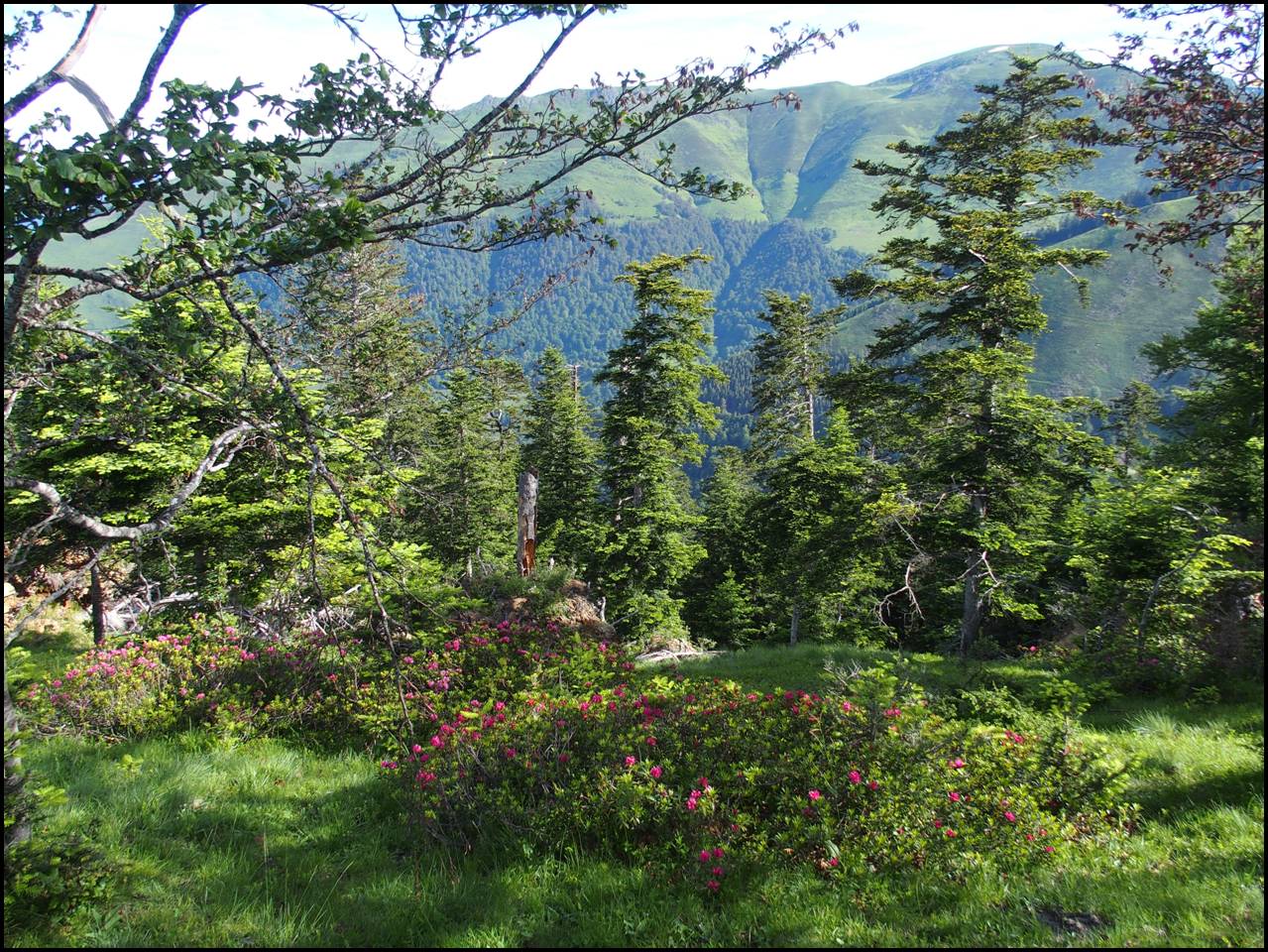 P6240331