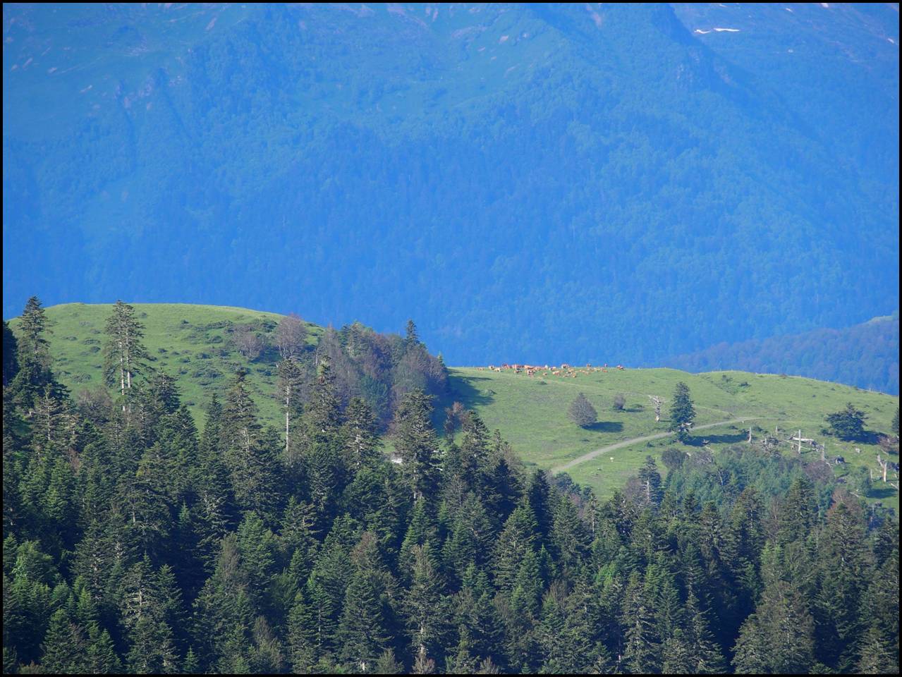 P6240322