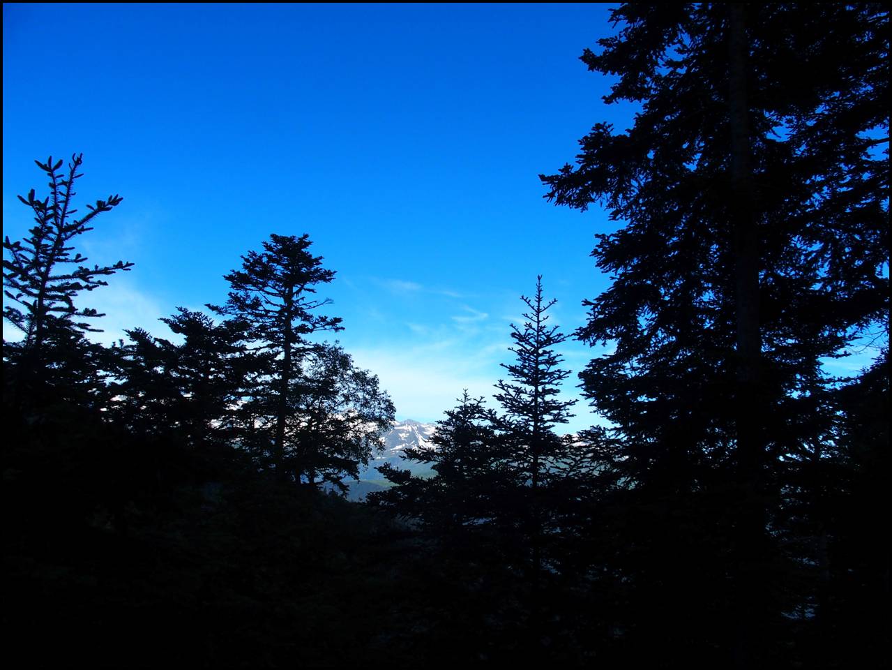 P6240311