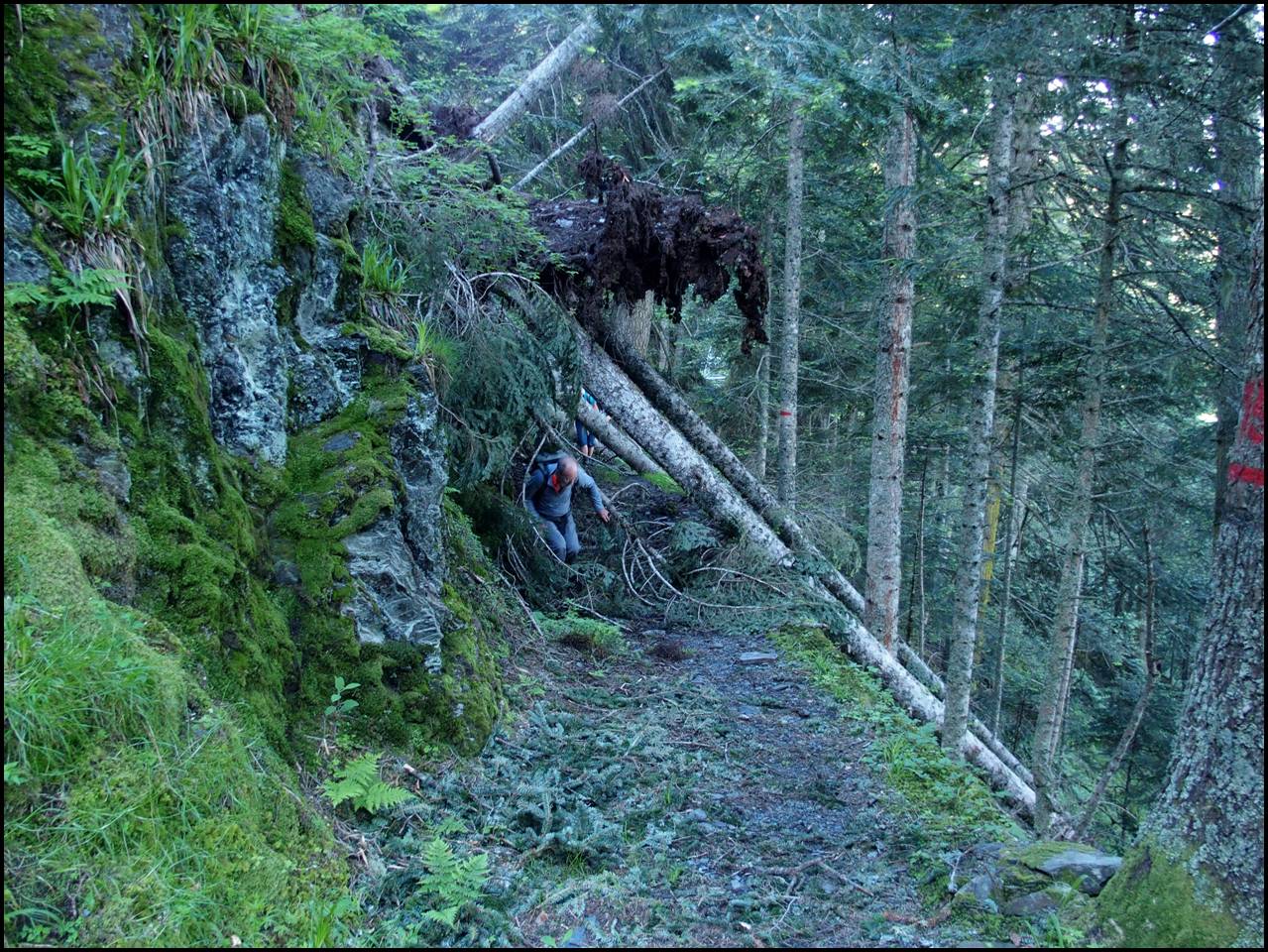P6240307