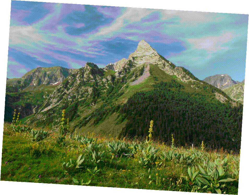 _1070803