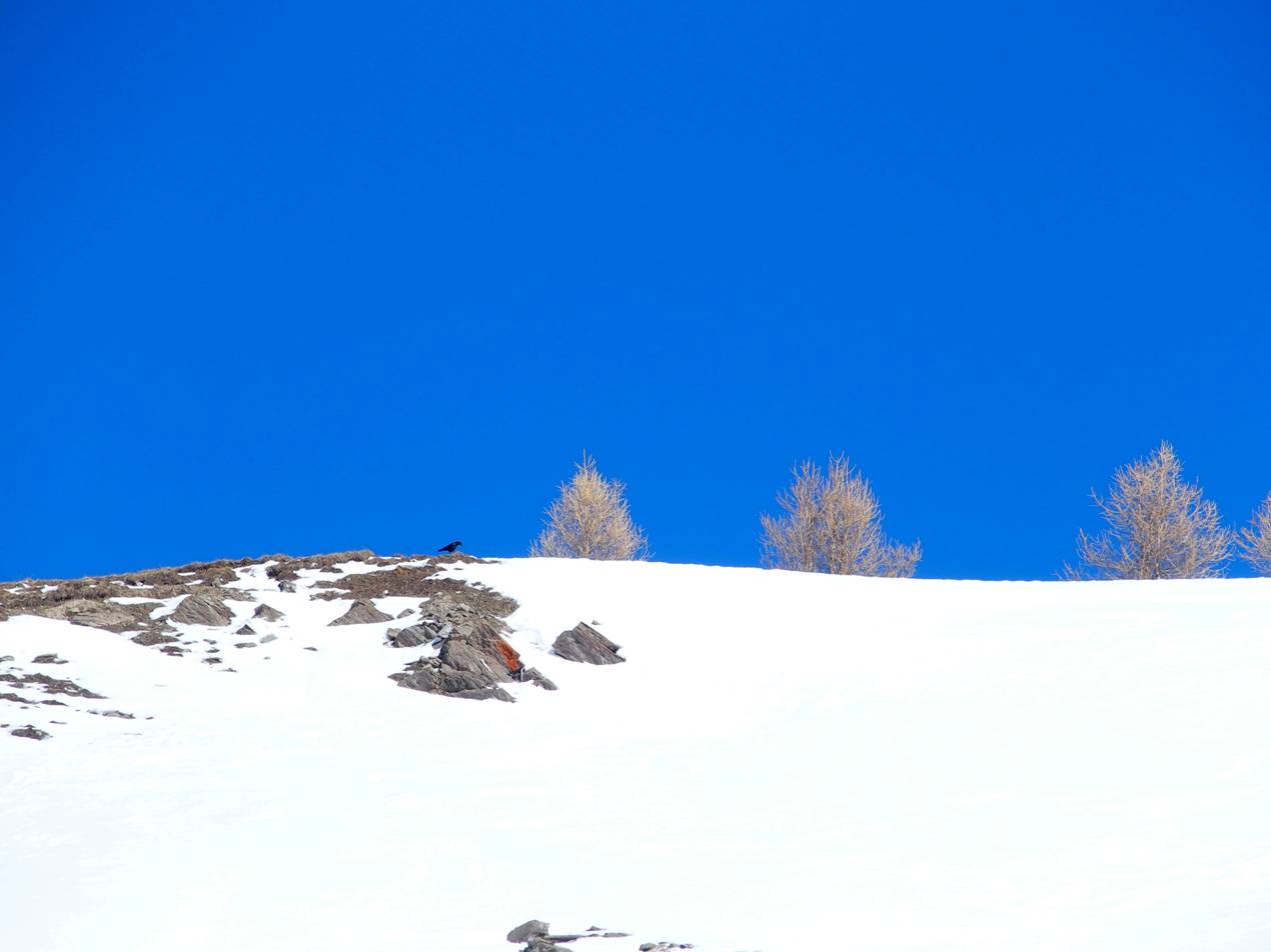 P2201125