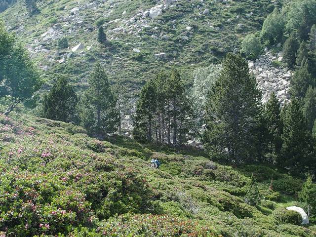 andorre-21