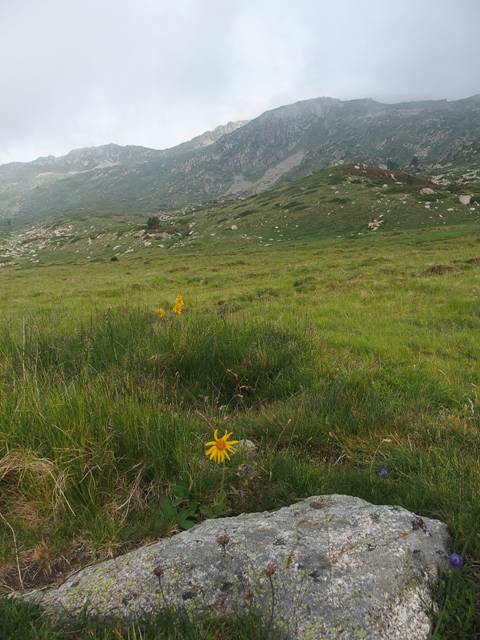 andorre-36