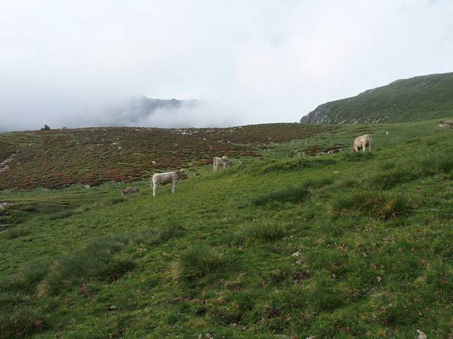 andorre-39