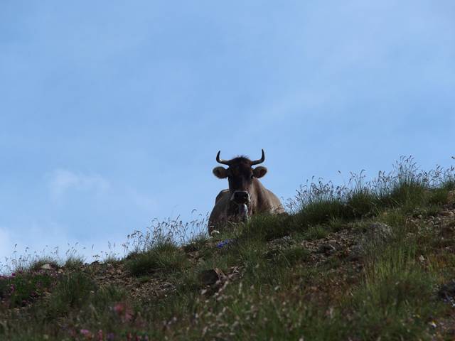 andorre-51