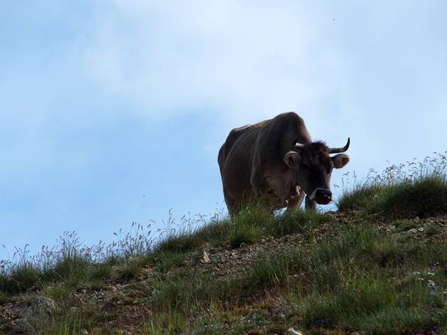andorre-52