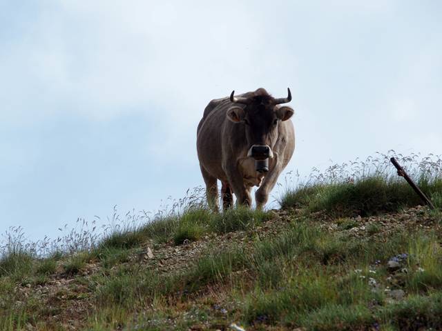 andorre-53