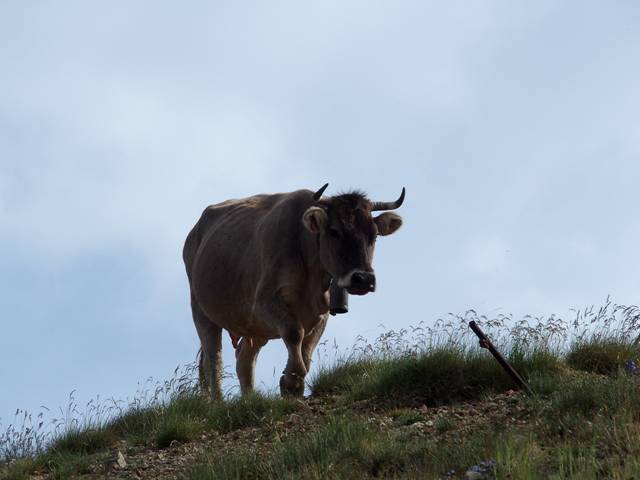 andorre-54