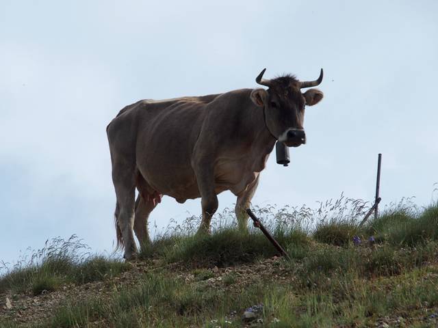 andorre-55