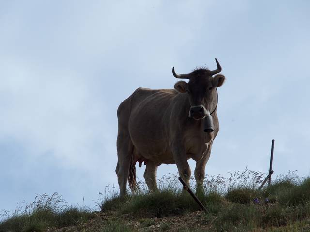 andorre-56