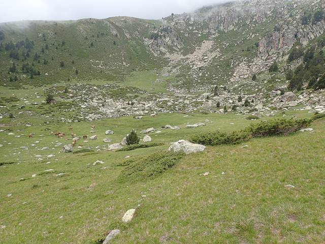 andorre-64
