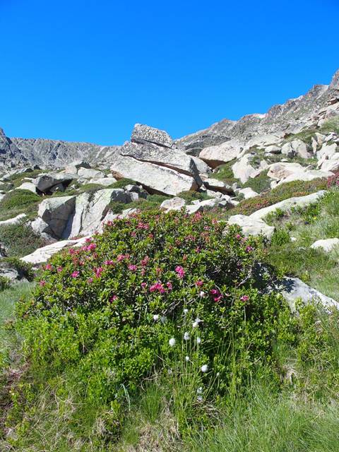 andorre-107