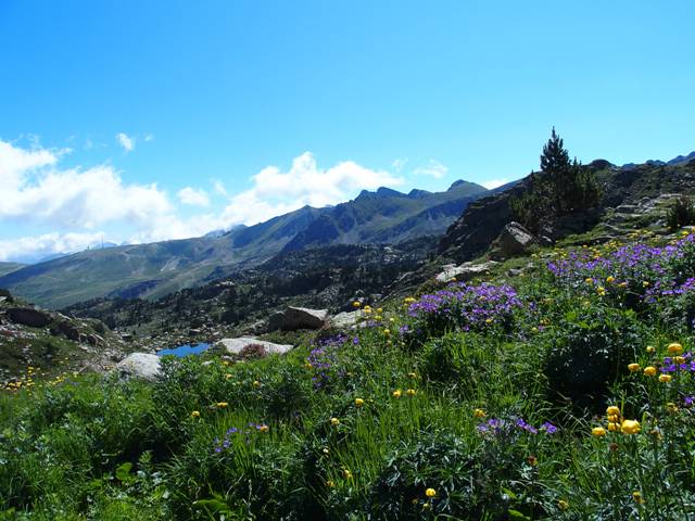 andorre-110