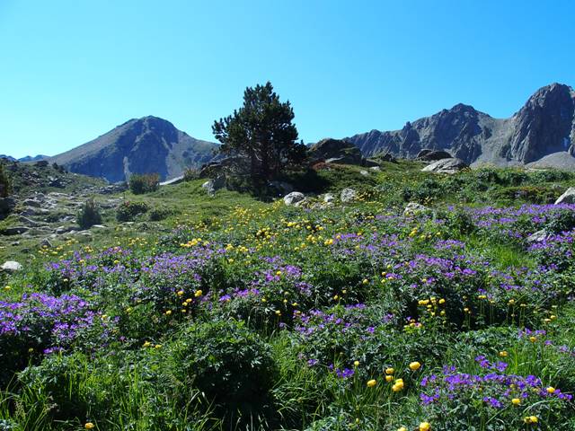andorre-111
