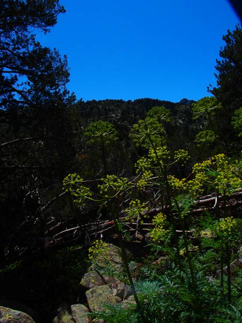 andorre-128