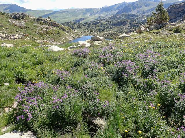 andorre-130
