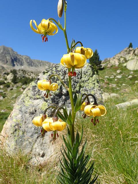 andorre-132