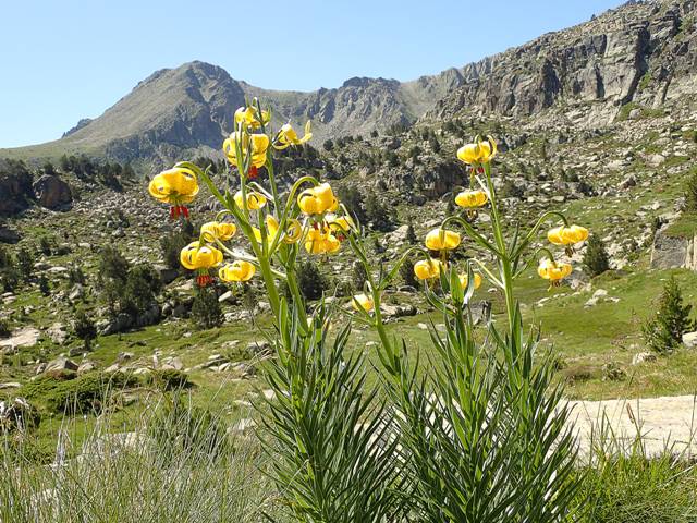 andorre-133