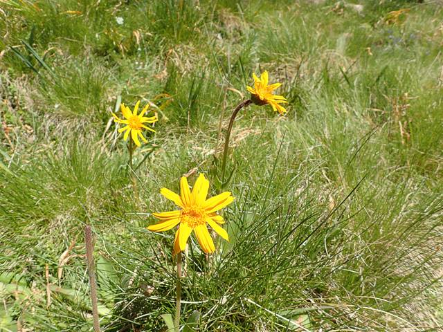 andorre-134