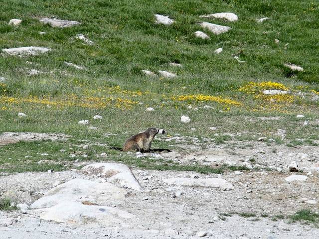 andorre-143