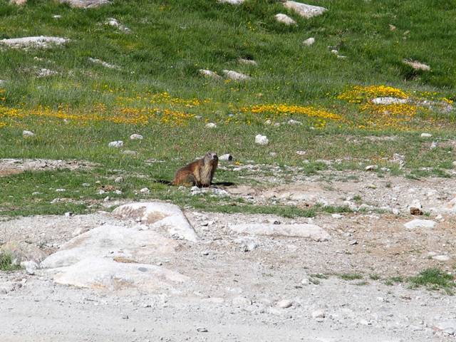 andorre-144