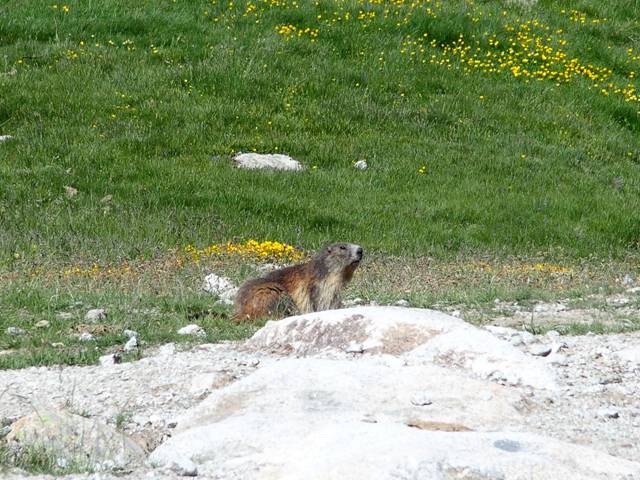 andorre-146