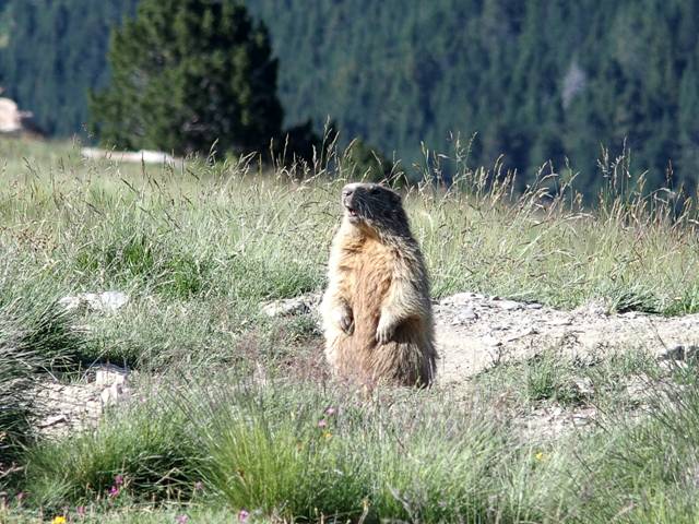 andorre-152