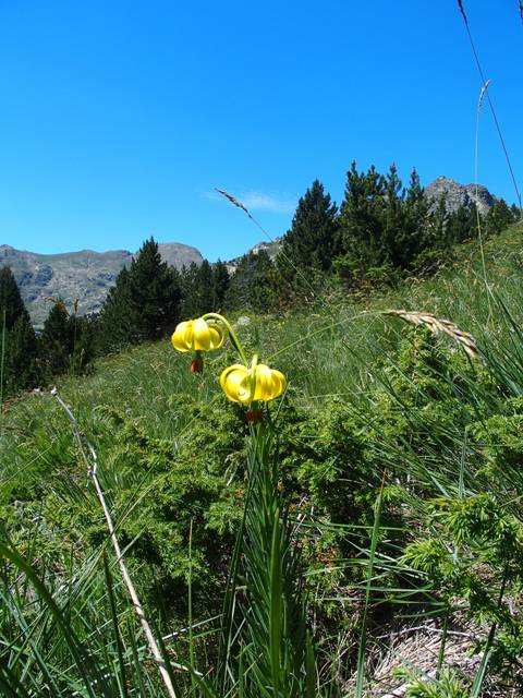 andorre-187