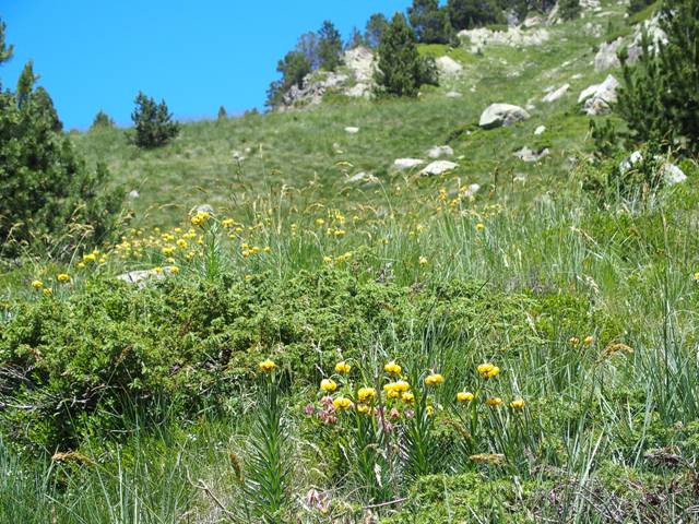 andorre-188