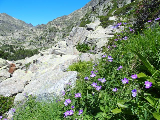 andorre-197