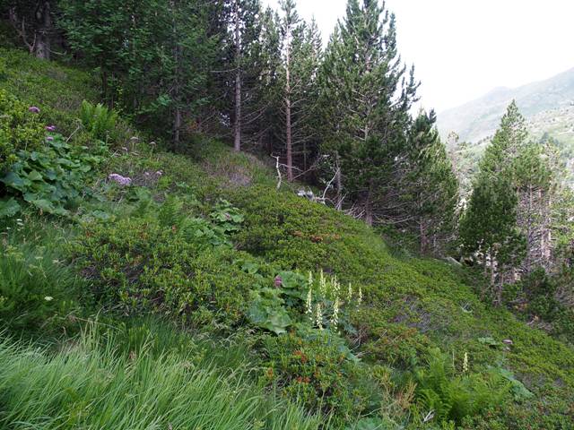 andorre-215