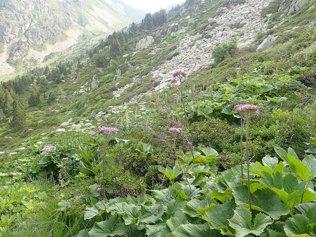 andorre-222