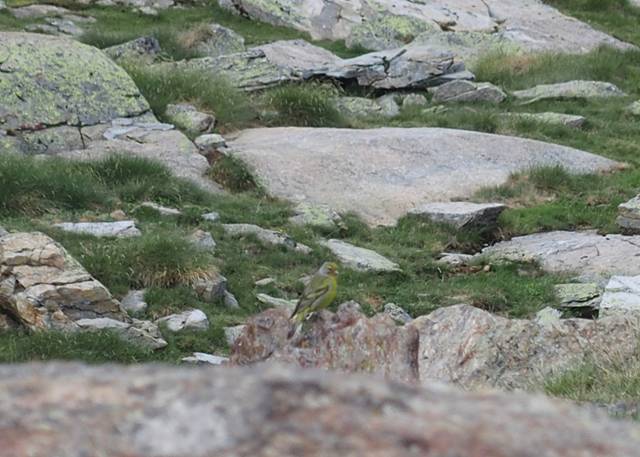 andorre-254