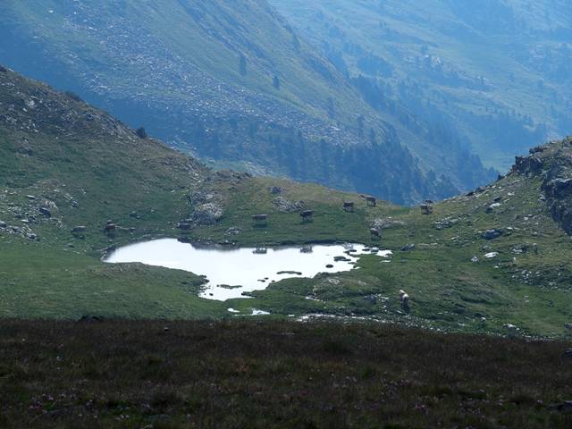 andorre-263
