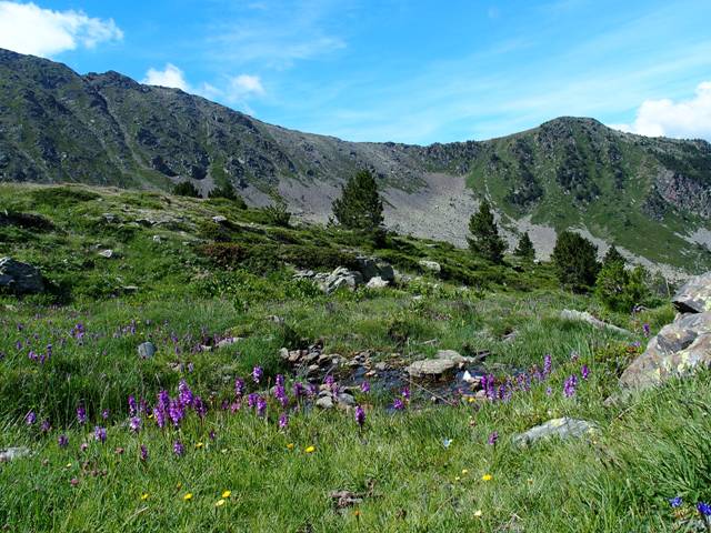 andorre-280