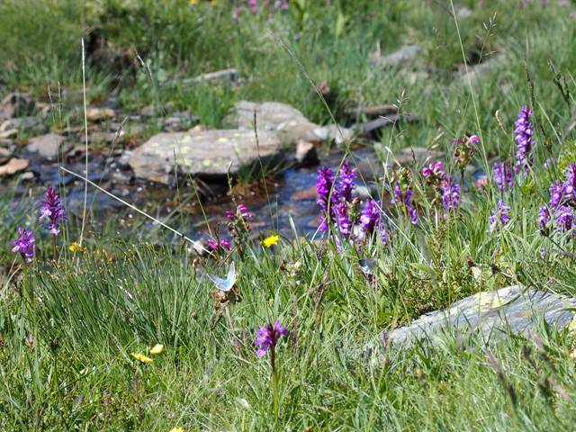andorre-281