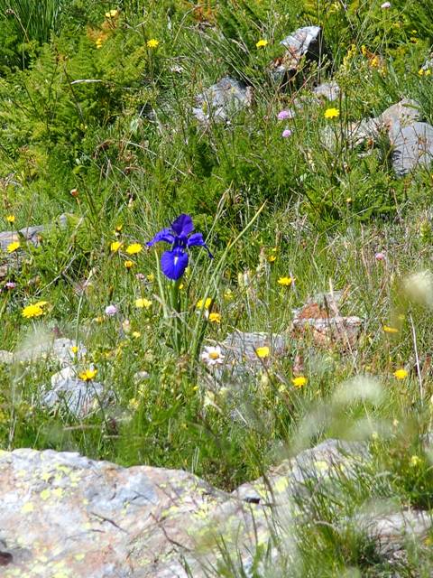 andorre-290