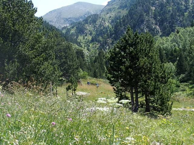 andorre-294