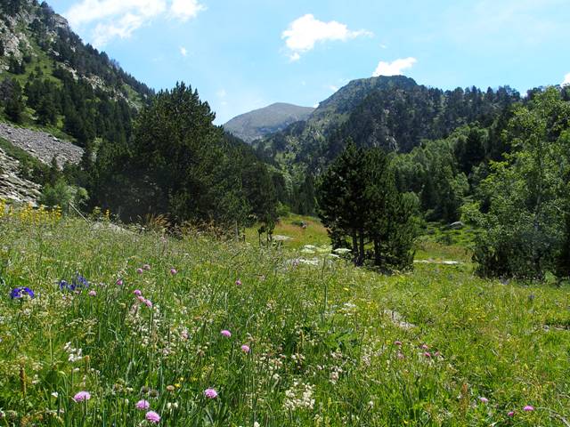 andorre-295