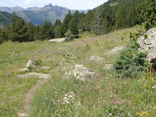 andorre-306