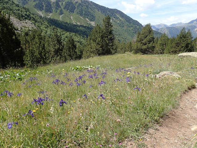 andorre-307