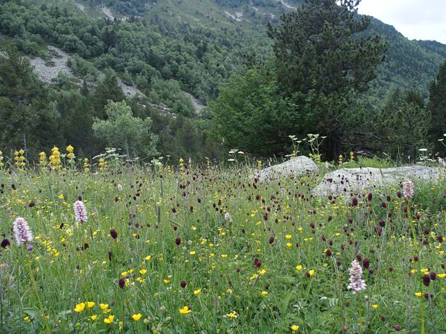 andorre-315