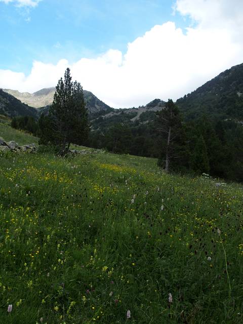 andorre-316